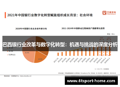 巴西银行业改革与数字化转型：机遇与挑战的深度分析